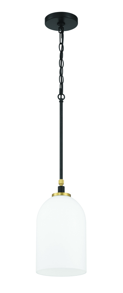 1 Light Pendant