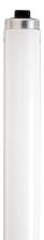 Satco Products Inc. S6453 - 55 Watt; T12; Fluorescent; 4200K Cool White; 62 CRI; Recessed Double Contact HO/VHO base