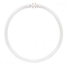 Satco Products Inc. S8158 - 40 Watt; T5; Circline Fluorescent; 3000K Warm White; 82 CRI; 2GX13 (4-Pin) base