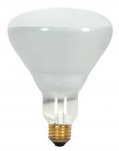 Satco Products Inc. S8521 - 65 Watt BR40 Incandescent; Frost; 5000 Average rated hours; 510 Lumens; Medium Skirted base; 130